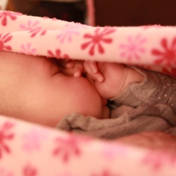 2010 09 18 - Aenea in hangdoek