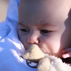 2010 10 17 - Blijdorp